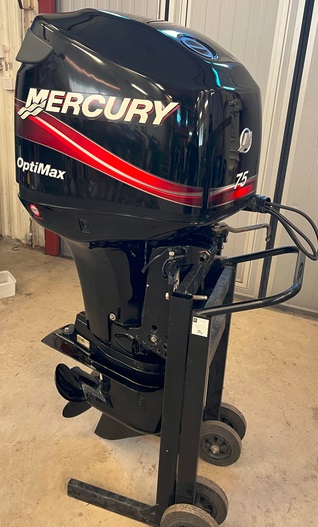 2009 EVINRUDE 75 HP
